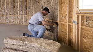 Best Wall Insulation Installation  in Horicon, WI